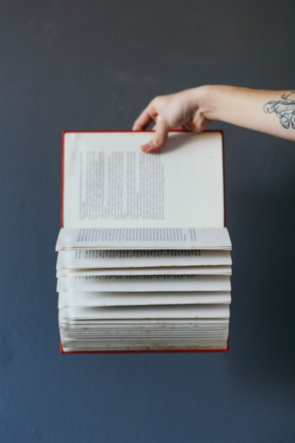 Sneak Peeks of Book Snippets